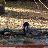 photo 2021-10-25 08-53-33 harkayl