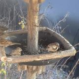 photo 2019-12-30 13-26-16