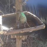 photo 2019-02-12 10-27-53