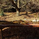 photo 2021-10-25 14-32-12