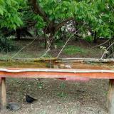 photo 2021-05-06 14-18-06