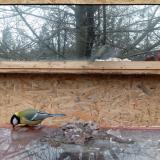 photo 2022-01-17 10-07-22