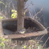 photo 2019-12-21 12-49-43