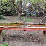 photo 2021-04-14 17-56-45