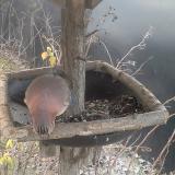 photo 2019-12-29 08-18-40