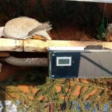 photo 2021-02-11 15-39-52