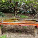 photo 2021-04-19 12-49-26