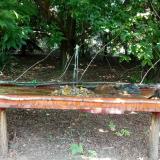 photo 2021-07-20 12-43-08