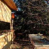 photo 2022-01-12 09-13-30