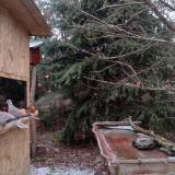 photo 2021-12-28 07-50-43