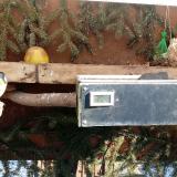 photo 2021-02-12 12-00-56