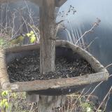 photo 2019-12-25 10-46-26