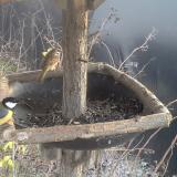 photo 2019-12-28 14-03-17