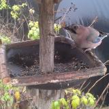 photo 2019-12-14 11-30-43