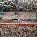 photo 2021-10-26 08-12-28