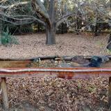 photo 2021-10-26 07-56-56