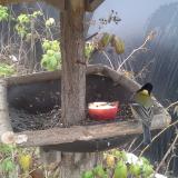 photo 2019-12-06 11-51-03