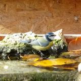 photo 2023-10-25 13-28-59 kekcinege