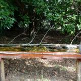 photo 2021-08-23 10-54-05