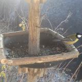 photo 2019-12-30 11-14-04