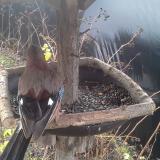 photo 2019-12-25 09-07-05