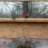 photo 2022-01-16 11-26-57