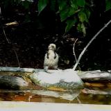 photo 2021-09-28 13-58-54 balkanoifakopancs