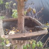 photo 2019-12-08 12-14-11