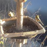 photo 2019-12-30 14-50-12