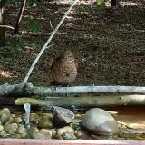 photo 2021-07-13 08-13-28 rigo