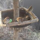 photo 2019-02-16 07-44-19