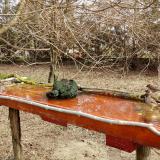 photo 2021-03-23 09-27-41