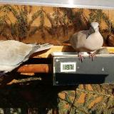 photo 2021-03-08 15-26-30