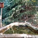 photo 2023-10-12 10-26-19