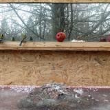 photo 2022-01-16 13-46-10