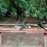 photo 2021-07-14 13-50-28