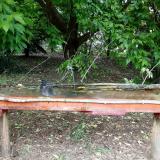 photo 2021-05-24 13-17-06