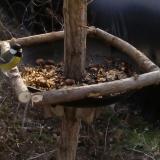 photo 2019-01-04 10-51-13