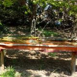 photo 2021-04-24 12-21-17