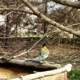 photo 2022-03-18 11-55-56 cinke