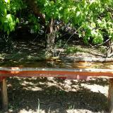 photo 2021-05-10 11-23-15