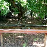 photo 2021-07-04 08-55-43