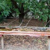 photo 2021-09-20 15-15-22