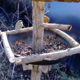 photo 2019-01-02 09-59-09