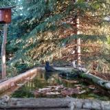 photo 2023-10-03 07-37-32