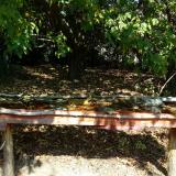 photo 2021-10-02 11-51-45