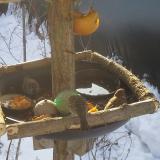 photo 2019-01-27 09-15-23