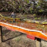 photo 2021-04-08 16-29-31