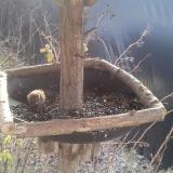 photo 2019-12-31 10-49-55