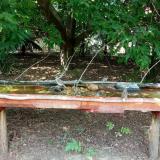 photo 2021-07-24 14-50-14